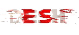 Desh TV Logo